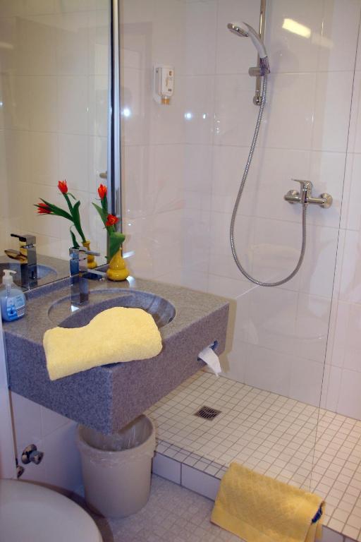 Rheinhotel Luxhof 斯派尔 外观 照片